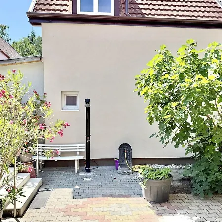 Lelle Udvar 2 Ac Free Parking 公寓